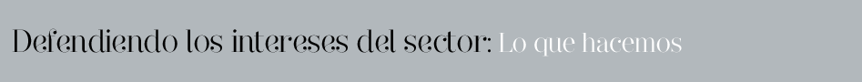 Defendiendo los intereses del sector: Lo que hacemos