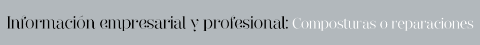 Información empresarial y profesional: Composturas o reparaciones