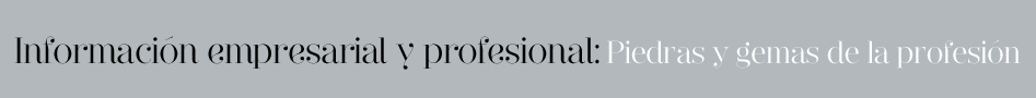 Información empresarial y profesional: Piedras y gemas de la profesión