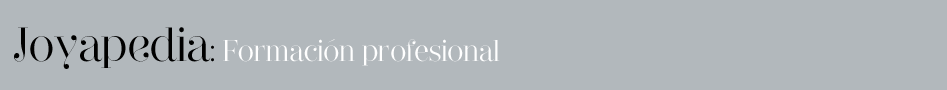 Joyapedia: Formación profesional